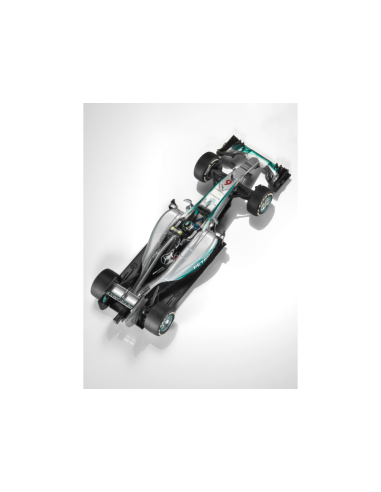 AMG PETRONAS Formula One™ Team, Lewis Hamilton