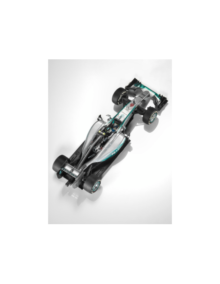 AMG PETRONAS Formula One™ Team, Lewis Hamilton